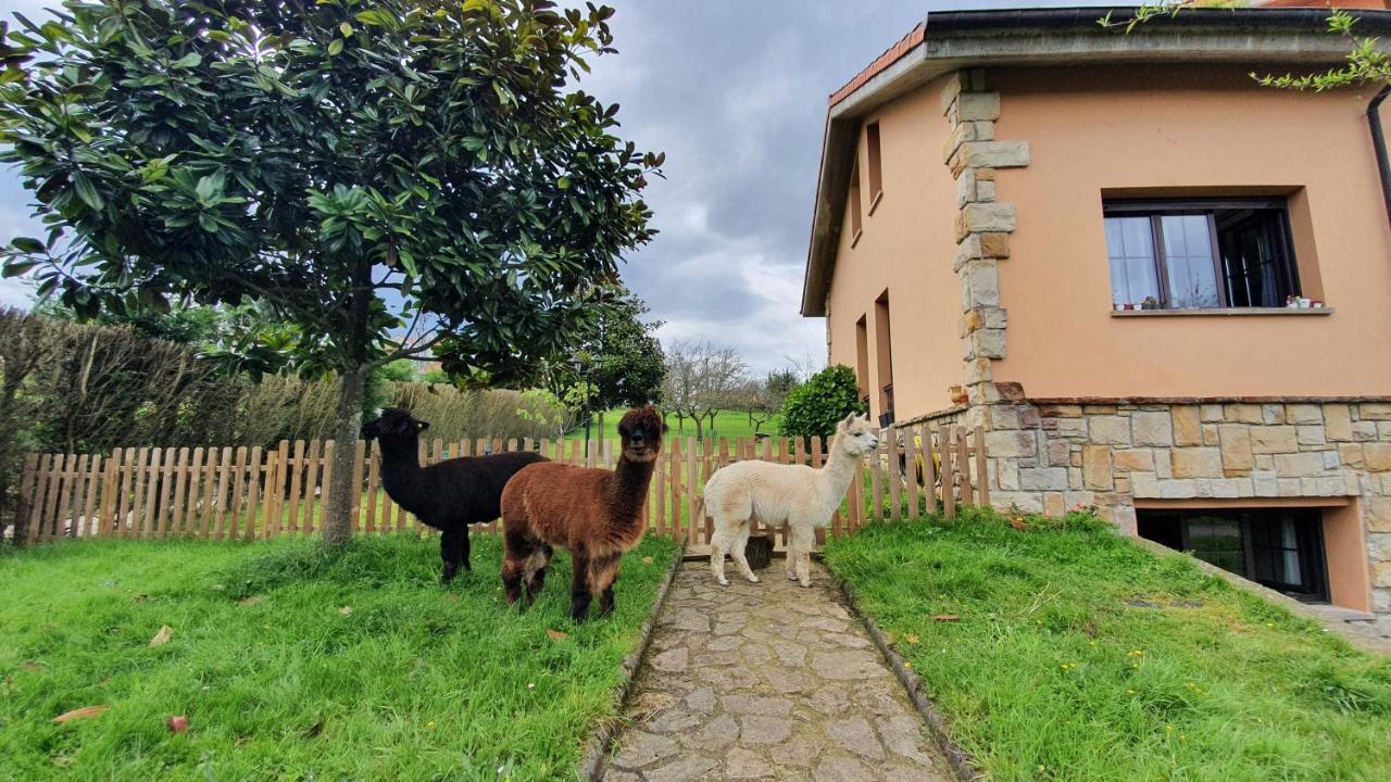 Hotel 3 Alpacas La Campa Exterior foto